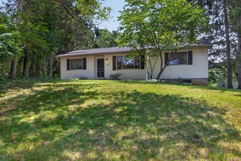 Photo of 2367 Loomis Road, Jackson, MI 49201 (MLS # 70546502)