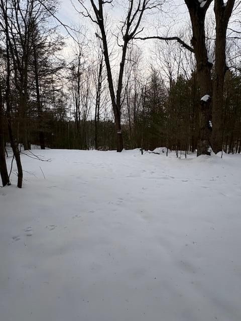 Photo of VL Bayou Road, Montague, MI 49437 (MLS # 70508850)