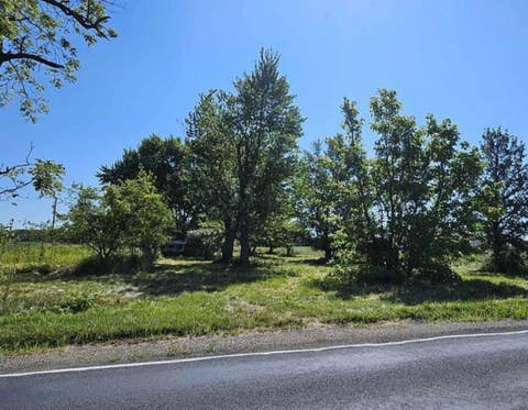 Photo of 2609 S Ionia Road, Bellevue, MI 49021 (MLS # 70541045)