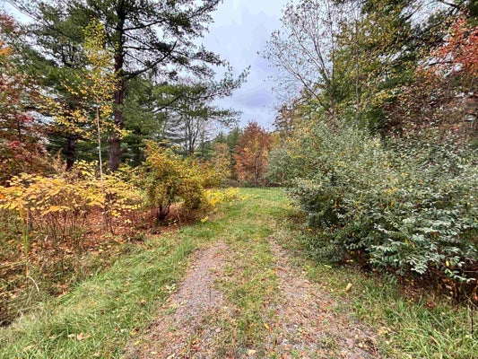 3719 PINELANDS POINT ROAD, GLADWIN, MI 48624 - Image c802aade1c4fd6d09eefcbb6d3120f83/1082468142