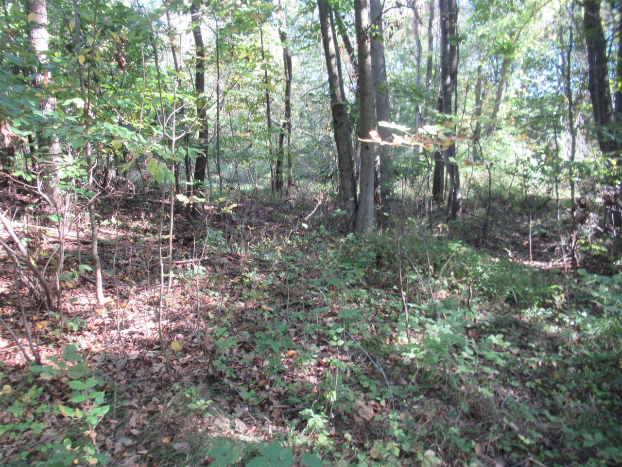 17538 Paradise Lake Road