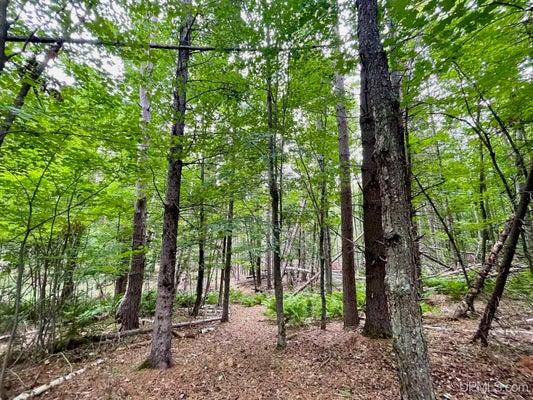 HEATHER LN, MARQUETTE, MI 49855 - Image cbbf8d3ec4c8072b9ef6b093ca02b8a6/1902716535