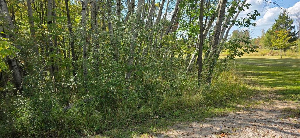 Photo of 1832 Bye Way #Sugar Springs lot 37, Gladwin, MI 48624 (MLS # 50188247)