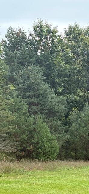 Photo of 5480 Blakely - Parcel 3 Drive, Belmont, MI 49306 (MLS # 70554947)