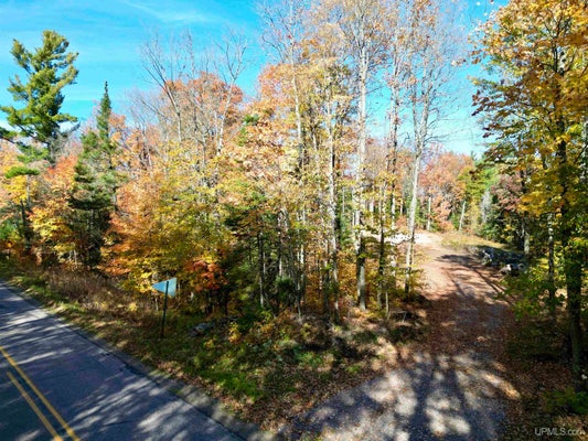 TBD WESTWOOD & NORTH LAKE DRIVE, ISHPEMING, MI 49849 - Image cc0a3f61e1d1720db48458c59befae32/669309224