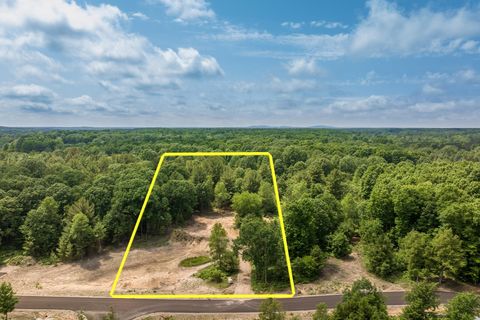 Photo of 4717 Leaning Birch Drive Lot: 2 #Lot: 2, Traverse City, MI 49685 (MLS # 80069484)