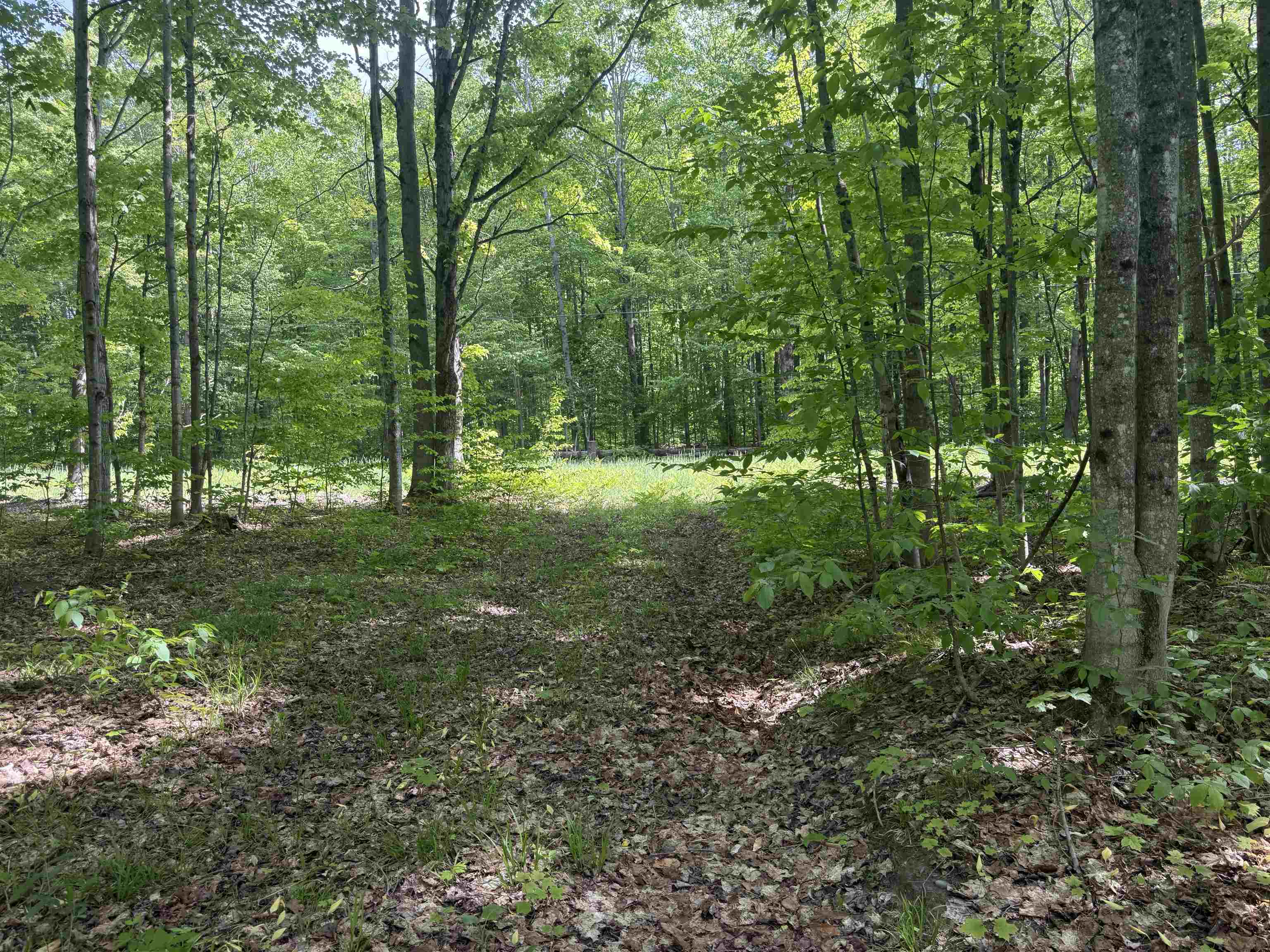 Properties Available 3 - 3 0000 Starvation Lake Road Coordinates: 44.85202, -85.00416