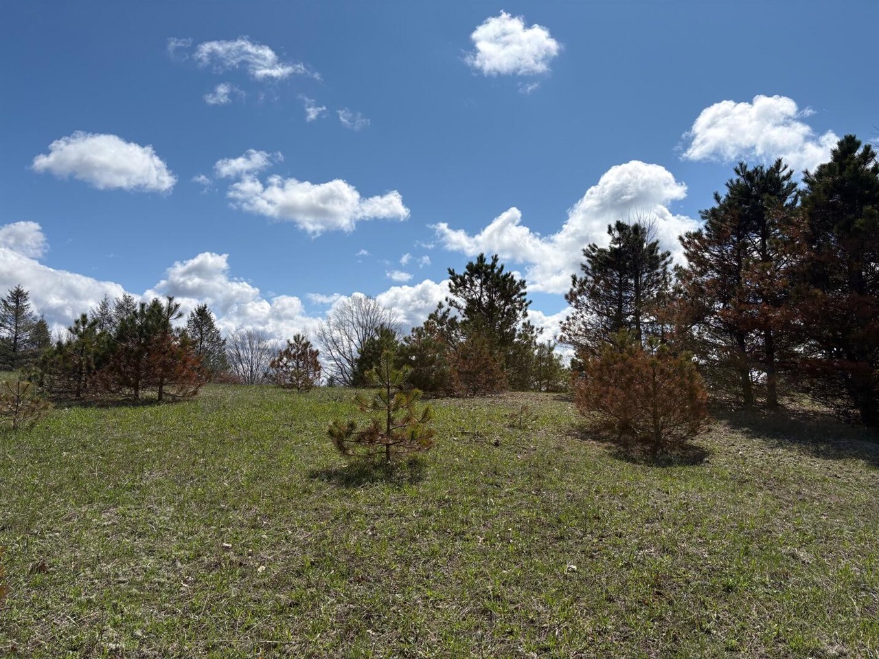 V/L Spruce Ridge Road 13