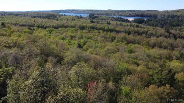 HOIST RD, NEGAUNEE, MI 49866 - Image ce59a59a7a9b9bd0a8d9b47f3310b7a6/1075361129