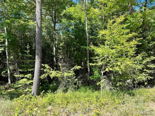 22ND RD, RAPID RIVER, MI 49878 - Image d15a17eee378e726abcff29c91ed1784/1634895524