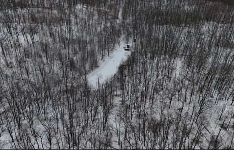 Photo of Tower Rd Road, Curran, MI 48728 (MLS # 70524558)