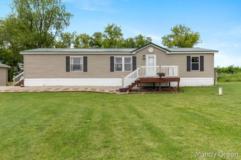 Photo of 1007 Dildine Road, Ionia, MI 48846 (MLS # 70538118)