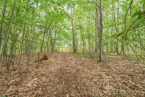 Photo of V/L 05 8 Mile Rd, Evart, MI 49631 (MLS # 70559814)