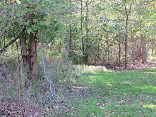50279 NORTH AVE, MACOMB, MI 48042 - Image d2aeb4f659c088b73aefd1b08bca4c62/1999307718