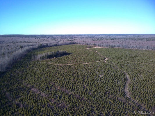 TBD PARCEL 2 16 MILE LAKE ROAD, AU TRAIN, MI 49806 - Image d302d8d11ecac71cd6afdf92fe79695d/1548483928