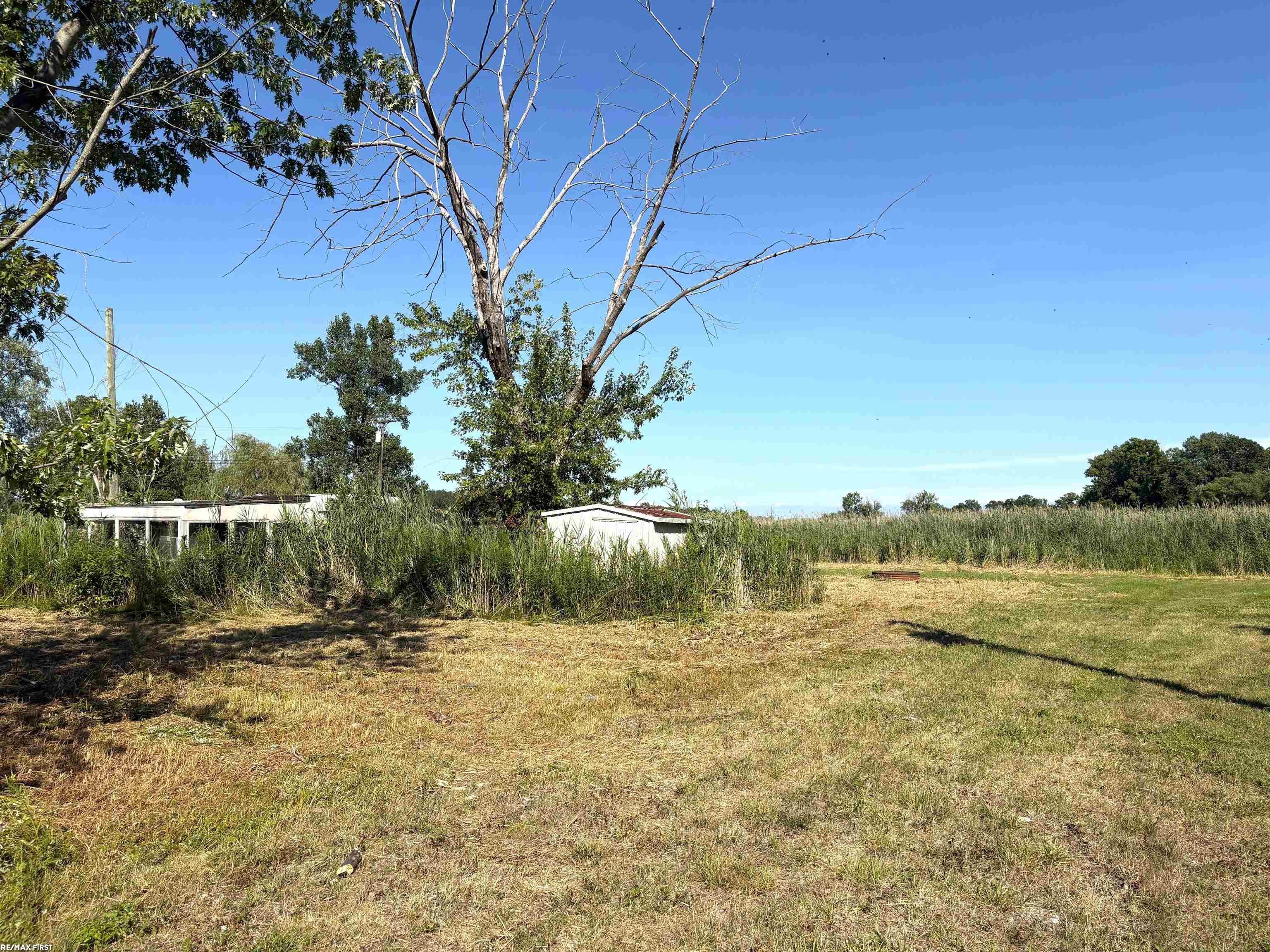 2483 Roy Drive