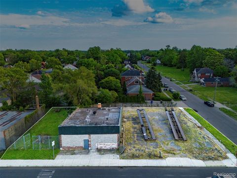 Photo of 12735 W Chicago Street, Detroit, MI 48228 (MLS # 60987170)