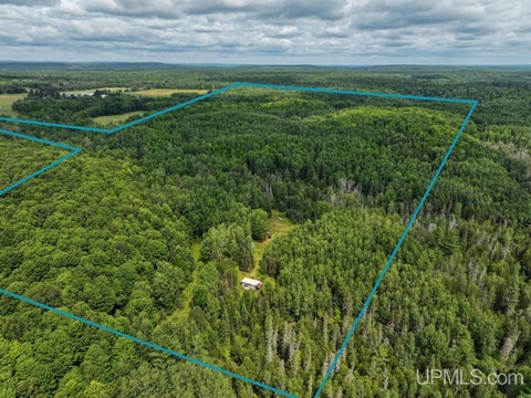 Photo of 259 Kalla Walla Trail, Crystal Falls, MI 49920 (MLS # 50216228)
