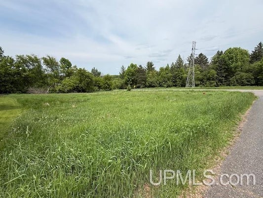 TBD LAKE STREET, FLORENCE T-WI, WI 54121 - Image d433f5faf8748e8c0ff7a50e2f0bf891/4236290648