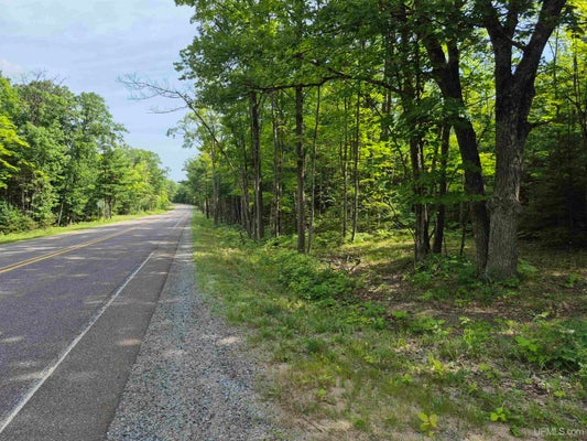 ACRE TRL, MARQUETTE, MI 49855 - Image d4e1b6d021efd1fbe5e8b043bebdc060/2538500729