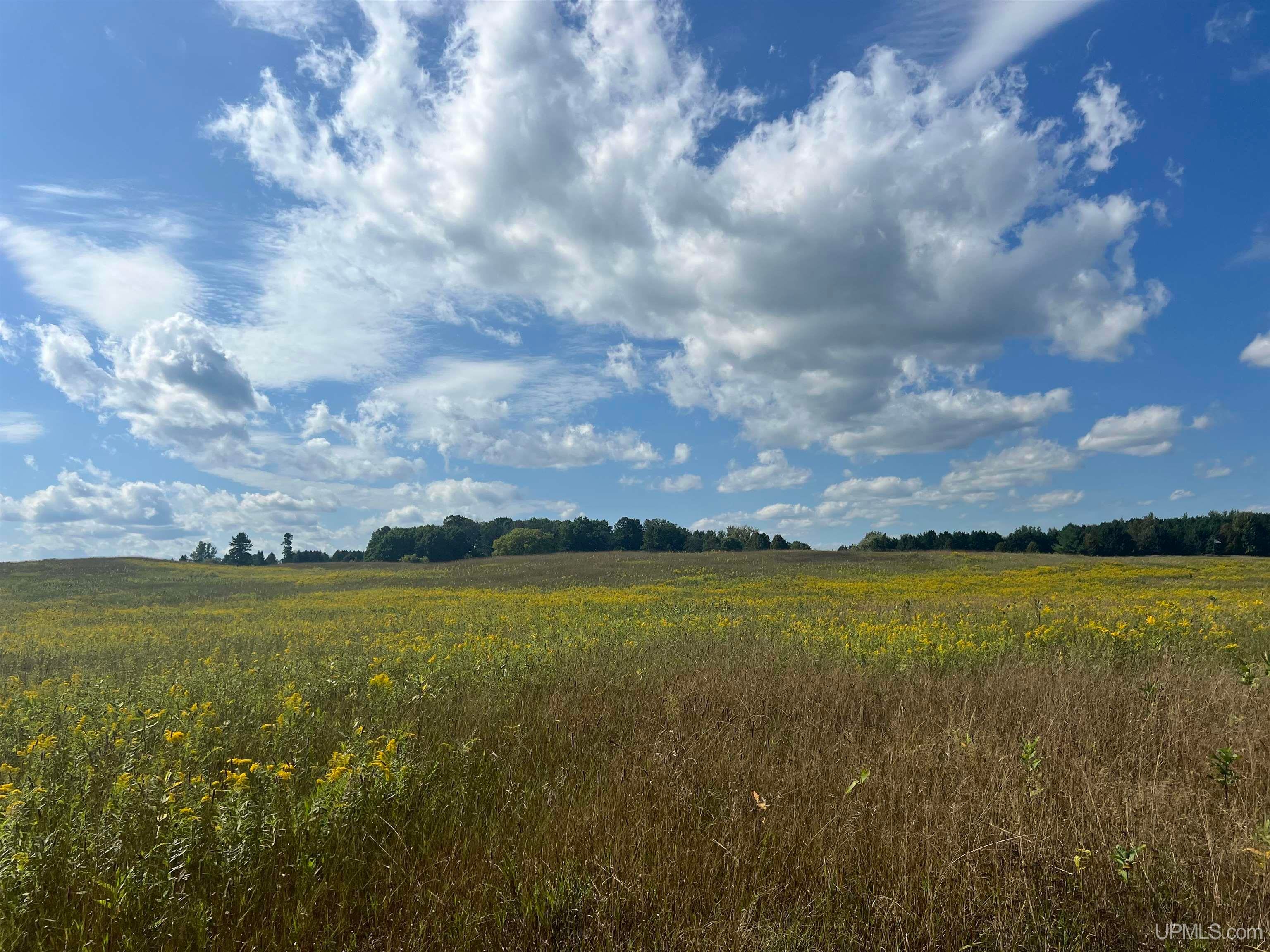 Properties Available 3 - 3 TBD 16th Lane