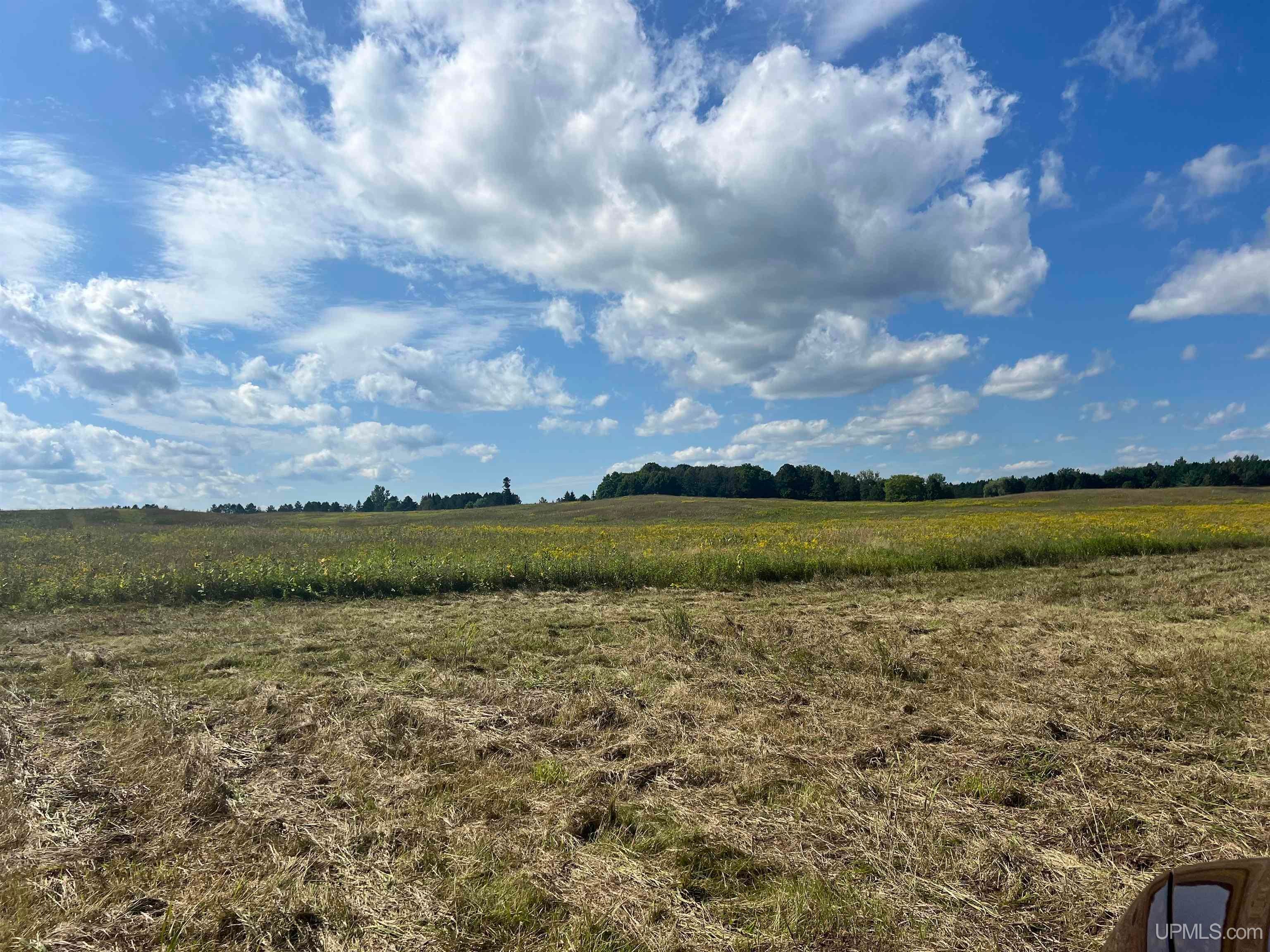 Properties Available 4 - 4 TBD 16th Lane