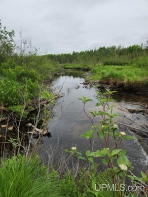COASTER RD, TRENARY, MI 49891 - Image d9ebe63c04439bc710a8d187f6107598/697705587