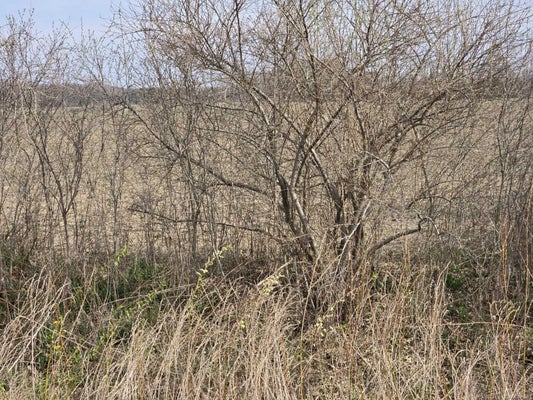 0 WEBER (LOT B) ROAD, RICHMOND TWP, MI 48063 - Image da34a59ea6ba2f3966f2e828ed27b41b/928603726