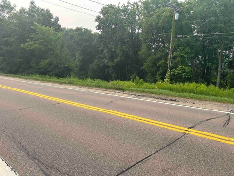 Photo for Michigan Highway
