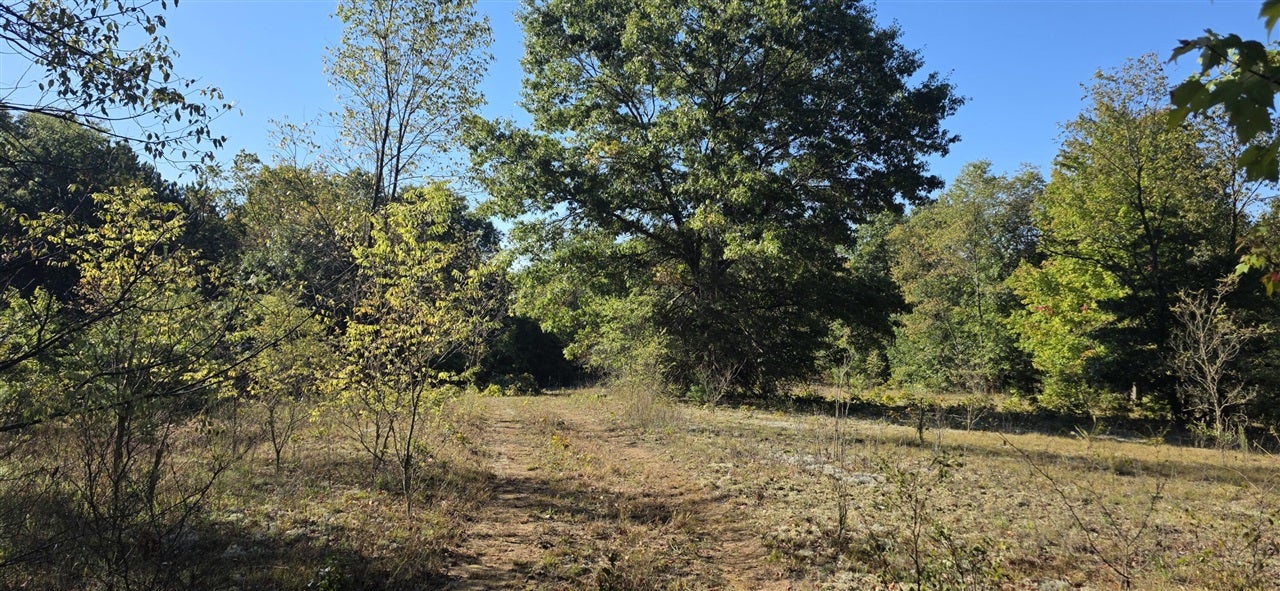 River Ranch Road