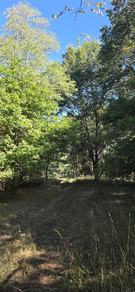 River Ranch Road