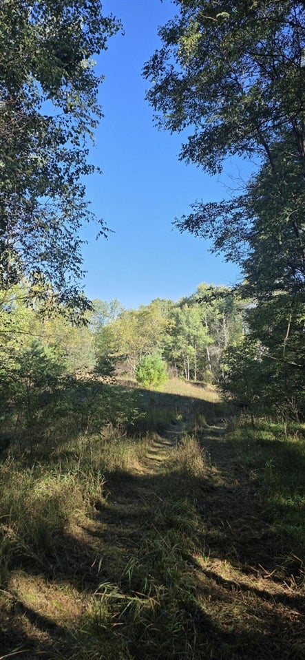 River Ranch Road