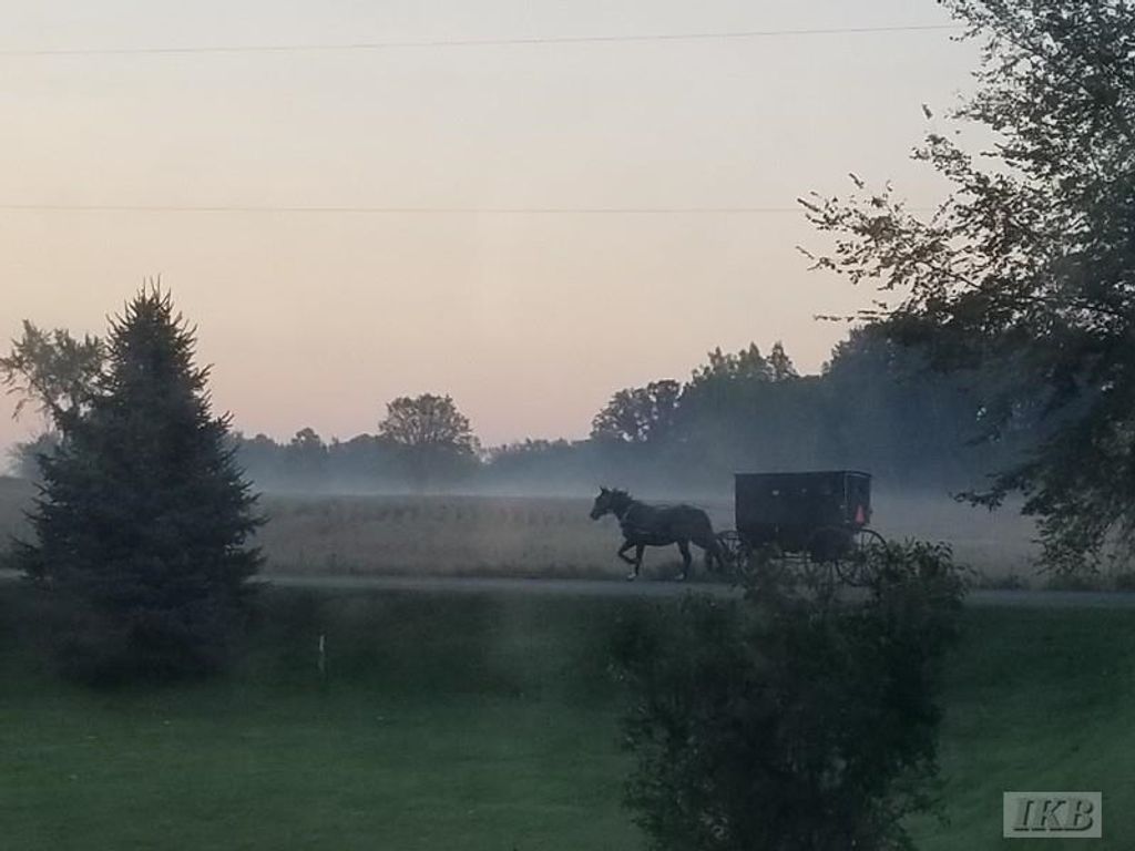 Photo of 6395 E Beaverton Road, Clare, MI 48617 (MLS # 50194928)