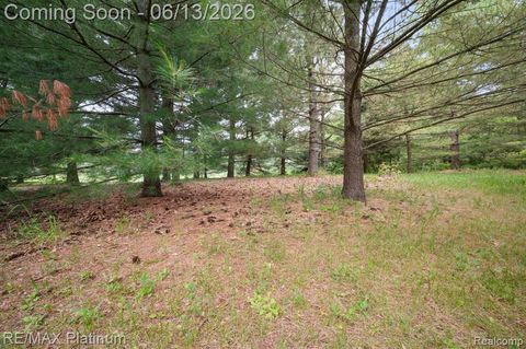 Photo of 12902 Autumn Ridge Court, Milford, MI 48380 (MLS # 61001371)