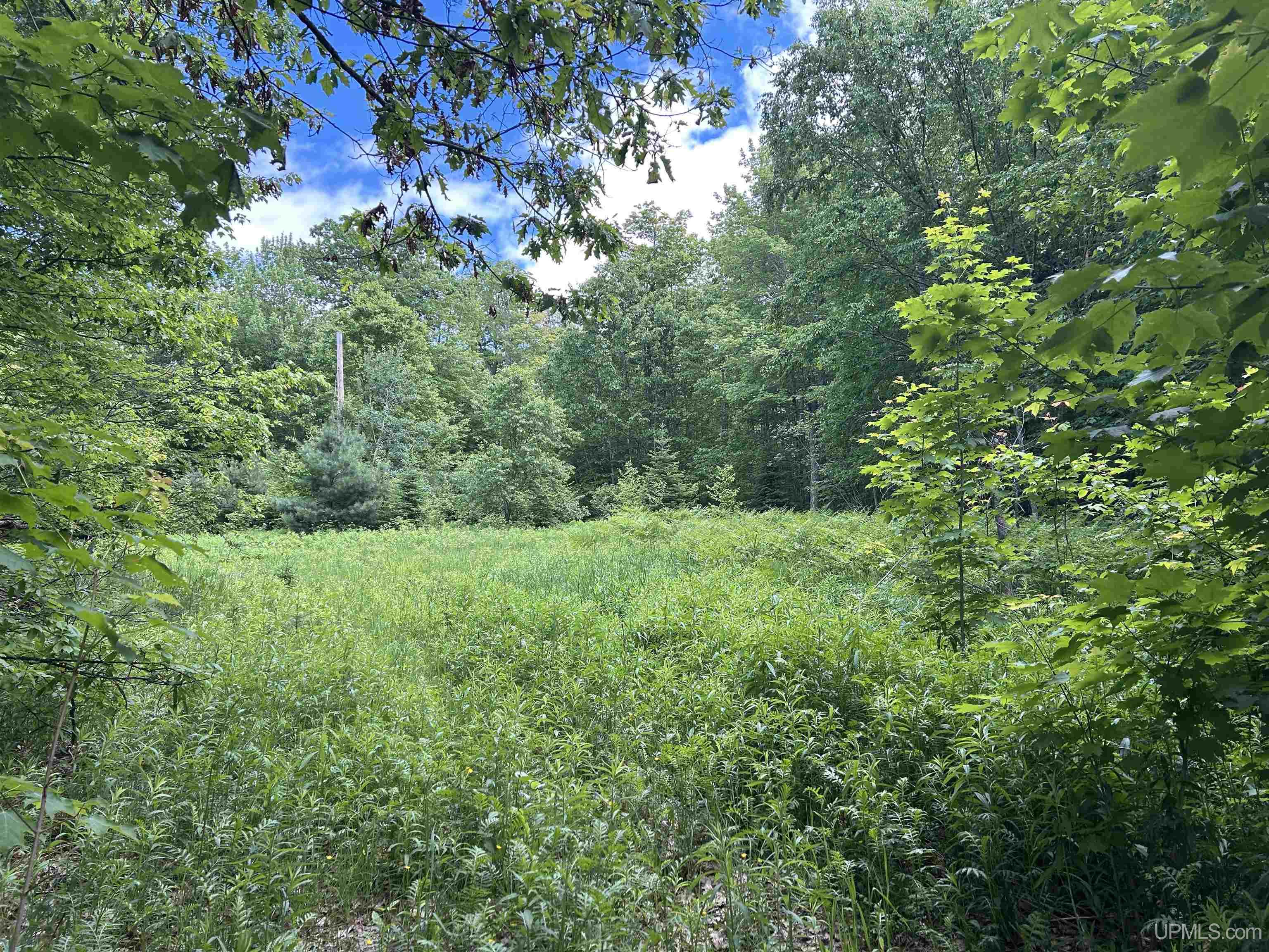 391 N Carlshend Road