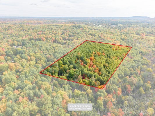 TBD CO RD CN ROAD, ISHPEMING, MI 49849 - Image ddbc86cabc9f49edaeda5fb3d8547cb9/828994029