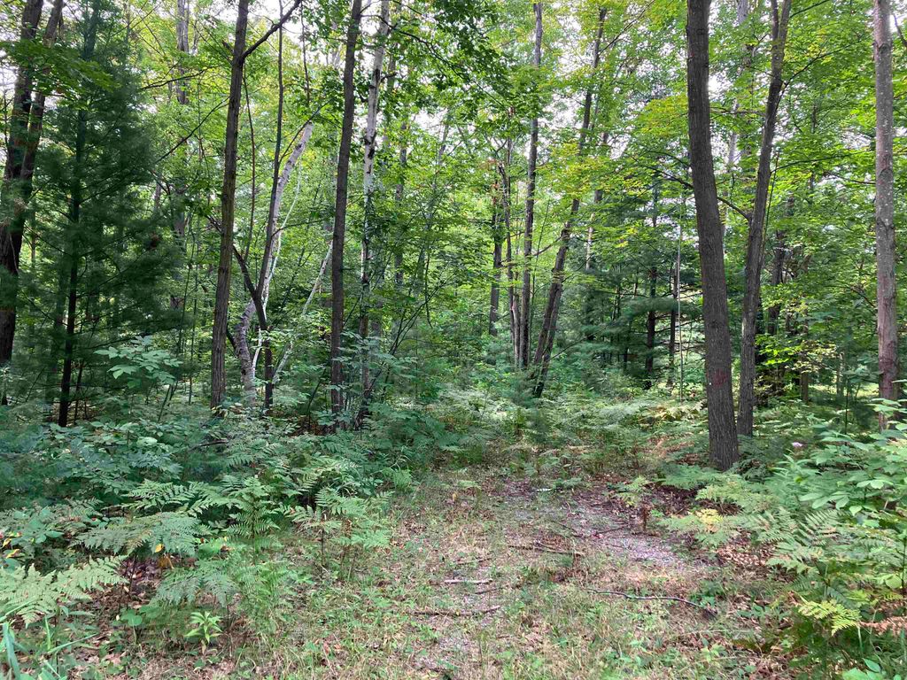 Photo of 3642 Beech Street, Beaverton, MI 48612 (MLS # 50201428)