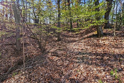 Photo of N Silver Ridge Road, Mears, MI 49436 (MLS # 70533069)