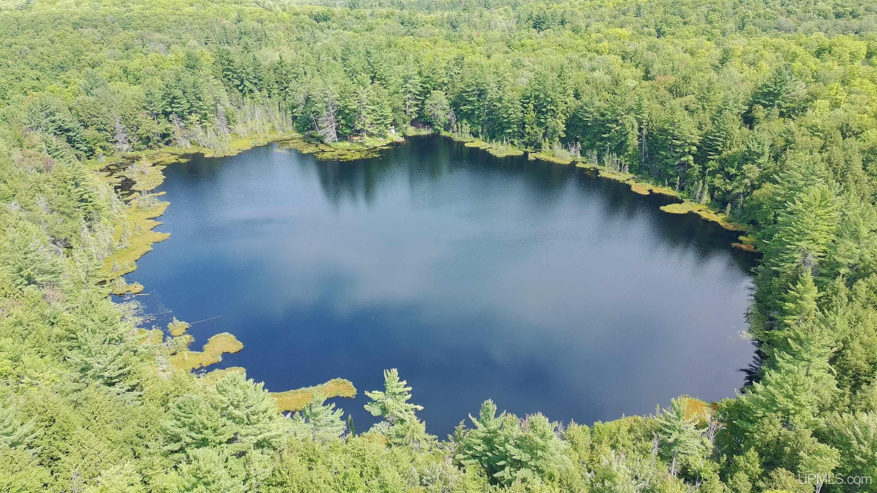 Properties Available 4 - 4 16737 Forest 13 Highway