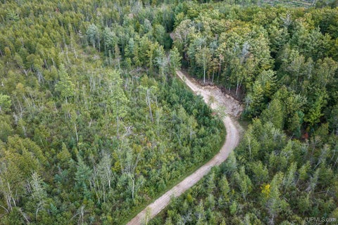 Photo of TBD Oro Rd Road, Powers, MI 49886 (MLS # 50222393)