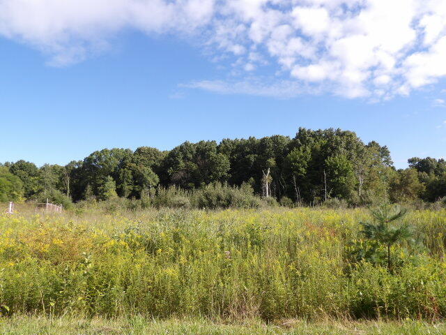 2747 M Drive