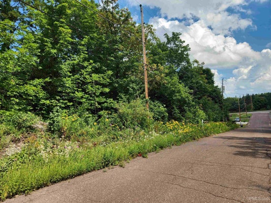 CALVERLEY AVE, HOUGHTON, MI 49931 - Image e0b5d609d567d89bbbeb153fb3cef075/3340617109