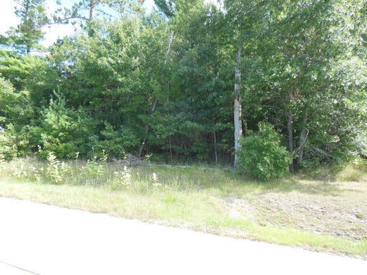 4906 N CLARE AVE, HARRISON, MI 48625 - Image e20ffad4eb615c98cbc9efeeaf103531/3292540671