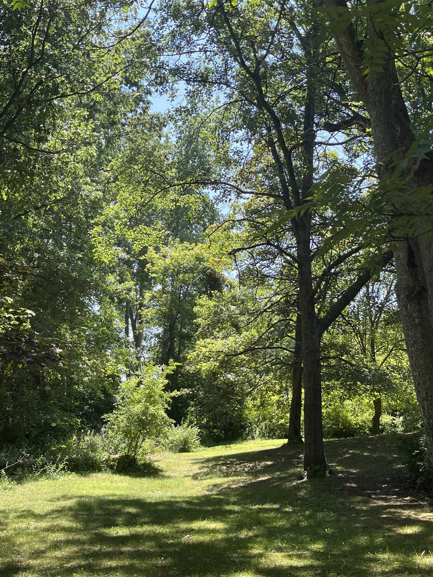 Bay City, Michigan 48706, United States, 2 Bedrooms Bedrooms, ,2 BathroomsBathrooms,Residential,Pending,192857