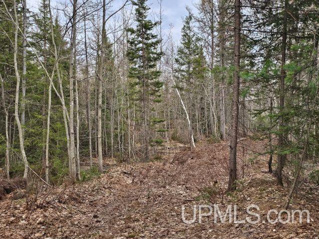40 acres off Co Rd GX Road