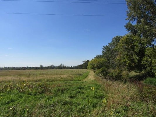 MORRICE RD, OWOSSO, MI 48867 - Image e6b8de1a4f3fa2597cdbdde1633cf3cf/603890780