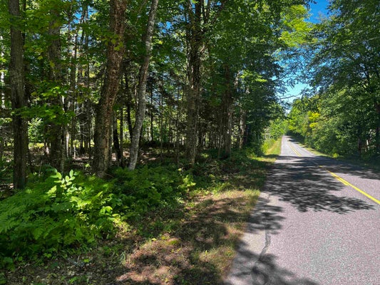 118 N DUKES RD, SKANDIA, MI 49885 - Image e6f9ba0fc2f0f99787c3a8615b0e02e2/3988766593