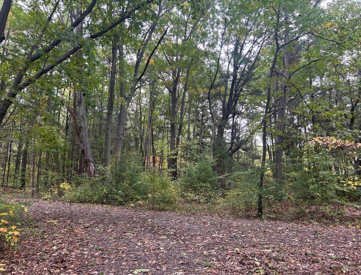 4051 Highview Path