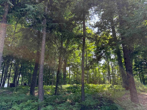 Photo of 44870 County Hwy D Highway, Cable, WI 54821 (MLS # 50199783)