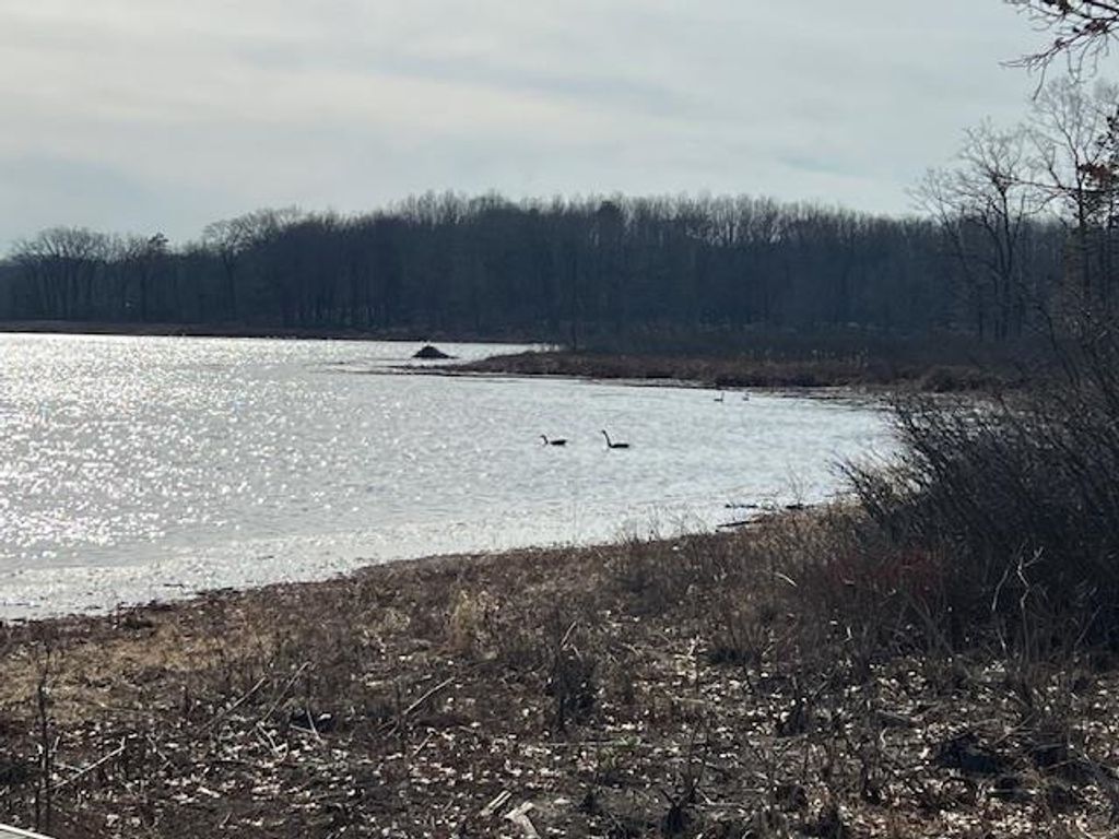 Photo of 5775 S Bringold Avenue, Lake, MI 48632 (MLS # 50202989)